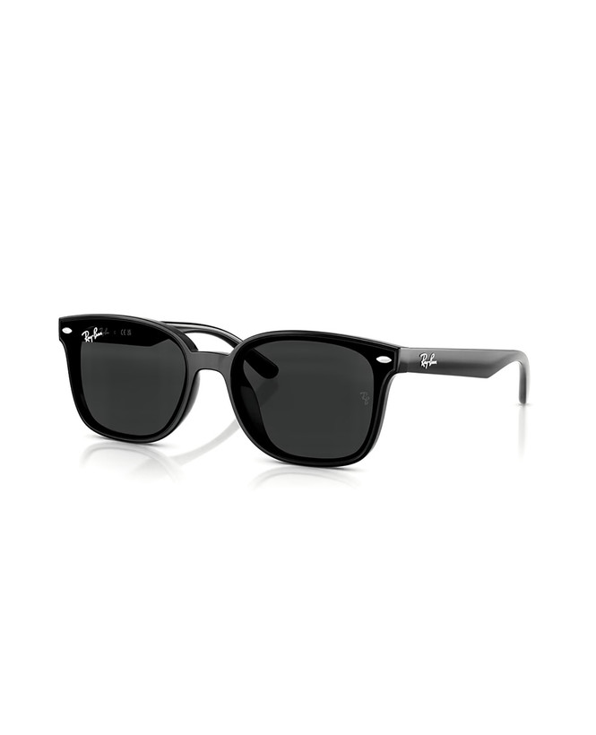 عینک آفتابی ریبن پلاریزه مدل RAYBAN RB4461D 🇮🇹
